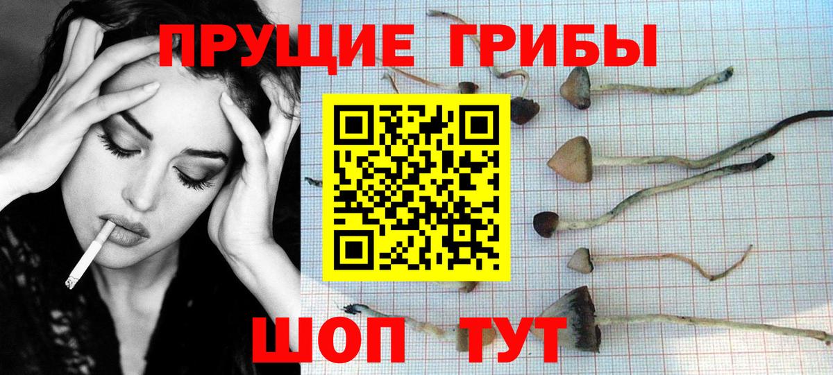 Галлюциногенные грибы Cubensis Киреевск
